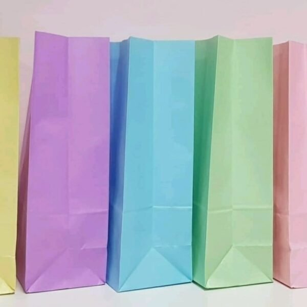 Bolsa de papel x25